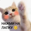 НАЖМИ НА ЛАПКУ