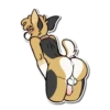 Nsfw+18 17
