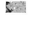 Manga hentai 20