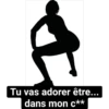Tu vas adorer être... dans mon c**