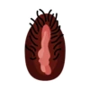 吸い