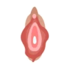 Vaginas 6