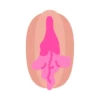 Vaginas 8