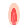 Vaginas 9