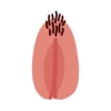 Vaginas 10