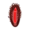 Vaginas 13
