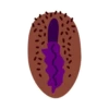 Vaginas 14
