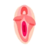 Vaginas 15