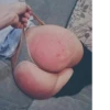 Ass @ecchxi @bikinimilfs 30