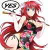 RIAS GREMORY-HIGH SCHOOL DXD 6