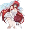 RIAS GREMORY-HIGH SCHOOL DXD 7