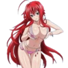 RIAS GREMORY-HIGH SCHOOL DXD 10