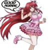 RIAS GREMORY-HIGH SCHOOL DXD 16