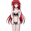 RIAS GREMORY-HIGH SCHOOL DXD 18
