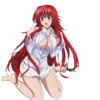 RIAS GREMORY-HIGH SCHOOL DXD 20