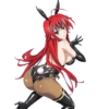 RIAS GREMORY-HIGH SCHOOL DXD 21