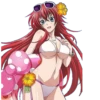 RIAS GREMORY-HIGH SCHOOL DXD 27