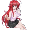 RIAS GREMORY-HIGH SCHOOL DXD 29