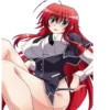 RIAS GREMORY-HIGH SCHOOL DXD 30