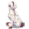 Anime 2B 5