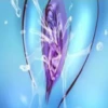 Pussy 26