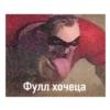 Фулл хочеца