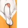 Big or Small Penis 22