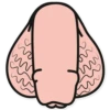 Dick 9
