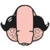 Dick 12