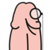 Dick 13