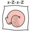 Dick 26
