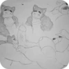 Kit | больше в 6