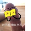 (18) (18) 对不起 我在学习