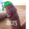 乖巧