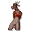 Bondage for cats 21
