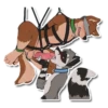 Bondage for cats 25