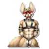 Bondage for cats 28