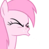 Erotic Roleplay Pony Pack 14