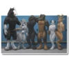 CatGuys Pron Pack 24