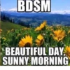 BDSM BEAUTIFUL DAY SUNNY MORNING