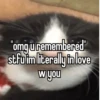II "omg u remembered" stfuim literally in love w you