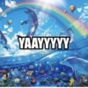 YAAYYYYY