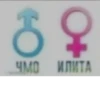 O о ЧМО ИЛИТА