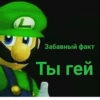 L Забавный факт Ты гей