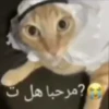 مرحبا هل ت