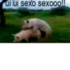 ui ui sexo sexooo!!