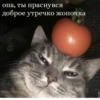 опа, ты праснувся доброе утречко жопочка ETO