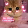 страстные пикчи Я тебя люблю я тебя люблю ты такой красивый Я тебя люблю