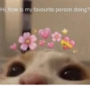 Hi, how is my favourite person doing?