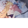 NVIDHY